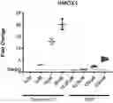 Fig. 01 - HMOX1 INDUCERS