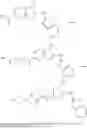 Fig. 32 - HMOX1 INDUCERS