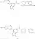 Fig. 101 - SUBSTITUTED HETEROCYCLIC AMIDE COMPOUND AND PREPARATION METHOD THEREFOR AND PHARMACEUTICAL USE THEREOF
