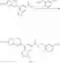Fig. 102 - SUBSTITUTED HETEROCYCLIC AMIDE COMPOUND AND PREPARATION METHOD THEREFOR AND PHARMACEUTICAL USE THEREOF