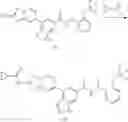 Fig. 118 - SUBSTITUTED HETEROCYCLIC AMIDE COMPOUND AND PREPARATION METHOD THEREFOR AND PHARMACEUTICAL USE THEREOF
