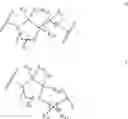 Fig. 144 - SUBSTITUTED HETEROCYCLIC AMIDE COMPOUND AND PREPARATION METHOD THEREFOR AND PHARMACEUTICAL USE THEREOF