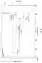 Fig. 31 - Pharmaceutical salts of benzothiazol compounds, polymorphs and methods for preparation thereof