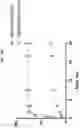 Fig. 10 - Imidazoquinoline compounds and prodrugs thereof
