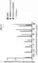 Fig. 13 - Imidazoquinoline compounds and prodrugs thereof