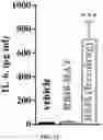 Fig. 21 - Imidazoquinoline compounds and prodrugs thereof