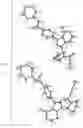 Fig. 54 - Crystal Forms of (S)-4-(8-amino-3-(1-(but-2-ynoyl)-pyrrolidin-2-yl)imidazo[1,5-a]pyrazin-1-yl)-n-(pyridin-2-yl)benzamide
