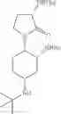 Fig. 46 - PROCESS FOR THE PREPARATION OF N-((1R,2S,5R)-5-(TERT-BUTYLAMINO)-2-((S)-3-(7-TERT-BUTYLPYRAZOLO[1,5-A][1,3,5]TRIAZIN-4-YLAMINO)-2-OXOPYRROLIDIN-1-YL)CYCLOHEXYL)ACETAMIDE