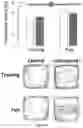 Fig. 13 - MACROCYCLES WITH ANTIOXIDANT AND NEUROPROTECTIVE ACTIVITIES