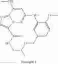 Fig. 101 - TYK2 INHIBITORS AND USES THEREOF