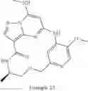 Fig. 136 - TYK2 INHIBITORS AND USES THEREOF