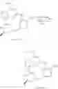 Fig. 166 - TYK2 INHIBITORS AND USES THEREOF