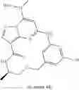 Fig. 168 - TYK2 INHIBITORS AND USES THEREOF