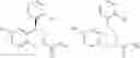 Fig. 101 - SUMO INHIBITOR COMPOUNDS AND USES THEREOF