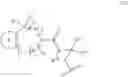 Fig. 211 - SUMO INHIBITOR COMPOUNDS AND USES THEREOF