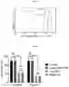 Fig. 08 - pH-RESPONSIVE SILICA METAL ORGANIC FRAMEWORK NANOPARTICLES FOR DELIVERY OF BIOACTIVE MOLECULES