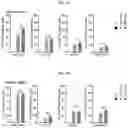 Fig. 12 - pH-RESPONSIVE SILICA METAL ORGANIC FRAMEWORK NANOPARTICLES FOR DELIVERY OF BIOACTIVE MOLECULES