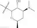 Fig. 10 - C10-Cyclic Substituted 13-Membered Macrolides and Uses Thereof
