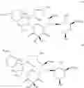 Fig. 101 - C10-Cyclic Substituted 13-Membered Macrolides and Uses Thereof