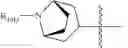 Fig. 119 - C10-Cyclic Substituted 13-Membered Macrolides and Uses Thereof