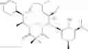 Fig. 170 - C10-Cyclic Substituted 13-Membered Macrolides and Uses Thereof