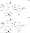 Fig. 20 - C10-Cyclic Substituted 13-Membered Macrolides and Uses Thereof
