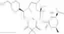 Fig. 211 - C10-Cyclic Substituted 13-Membered Macrolides and Uses Thereof