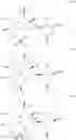Fig. 22 - C10-Cyclic Substituted 13-Membered Macrolides and Uses Thereof