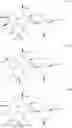 Fig. 24 - C10-Cyclic Substituted 13-Membered Macrolides and Uses Thereof