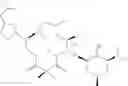 Fig. 242 - C10-Cyclic Substituted 13-Membered Macrolides and Uses Thereof