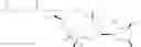 Fig. 258 - C10-Cyclic Substituted 13-Membered Macrolides and Uses Thereof