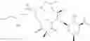 Fig. 310 - C10-Cyclic Substituted 13-Membered Macrolides and Uses Thereof