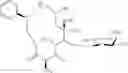 Fig. 318 - C10-Cyclic Substituted 13-Membered Macrolides and Uses Thereof