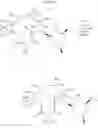 Fig. 330 - C10-Cyclic Substituted 13-Membered Macrolides and Uses Thereof