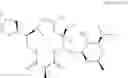 Fig. 405 - C10-Cyclic Substituted 13-Membered Macrolides and Uses Thereof