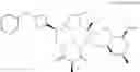 Fig. 474 - C10-Cyclic Substituted 13-Membered Macrolides and Uses Thereof