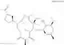 Fig. 498 - C10-Cyclic Substituted 13-Membered Macrolides and Uses Thereof