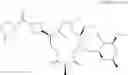 Fig. 503 - C10-Cyclic Substituted 13-Membered Macrolides and Uses Thereof