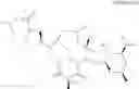 Fig. 511 - C10-Cyclic Substituted 13-Membered Macrolides and Uses Thereof