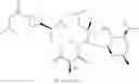 Fig. 524 - C10-Cyclic Substituted 13-Membered Macrolides and Uses Thereof