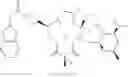 Fig. 528 - C10-Cyclic Substituted 13-Membered Macrolides and Uses Thereof