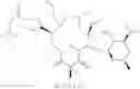 Fig. 533 - C10-Cyclic Substituted 13-Membered Macrolides and Uses Thereof