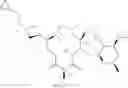Fig. 545 - C10-Cyclic Substituted 13-Membered Macrolides and Uses Thereof
