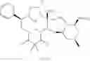 Fig. 581 - C10-Cyclic Substituted 13-Membered Macrolides and Uses Thereof