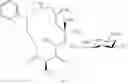 Fig. 589 - C10-Cyclic Substituted 13-Membered Macrolides and Uses Thereof