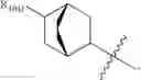 Fig. 600 - C10-Cyclic Substituted 13-Membered Macrolides and Uses Thereof
