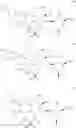 Fig. 617 - C10-Cyclic Substituted 13-Membered Macrolides and Uses Thereof