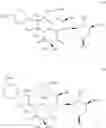 Fig. 618 - C10-Cyclic Substituted 13-Membered Macrolides and Uses Thereof