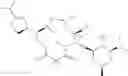 Fig. 629 - C10-Cyclic Substituted 13-Membered Macrolides and Uses Thereof