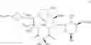 Fig. 65 - C10-Cyclic Substituted 13-Membered Macrolides and Uses Thereof